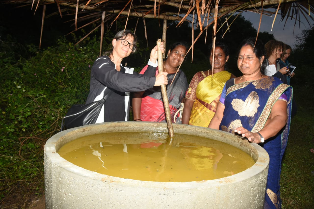 సేంద్రియ సాగు పద్ధతులు లాభదాయకం