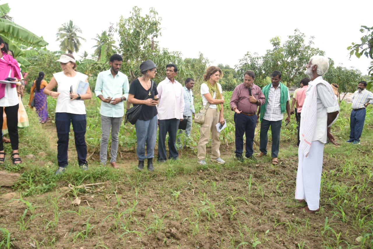 సేంద్రియ వ్యవసాయ పద్ధతులు భేష్‌..