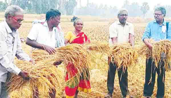 తడిసిన వరి పనలను చూపుతున్న రైతు నాయకులు