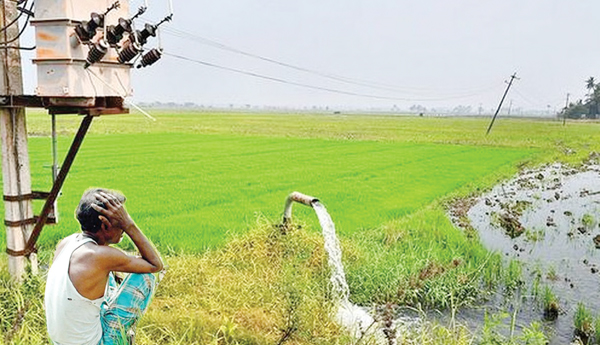 electricity reforms impacts on farmers power bill article vijju