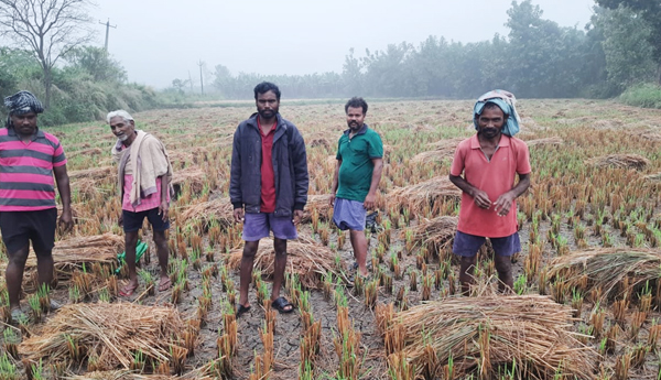 rains-in-manyam