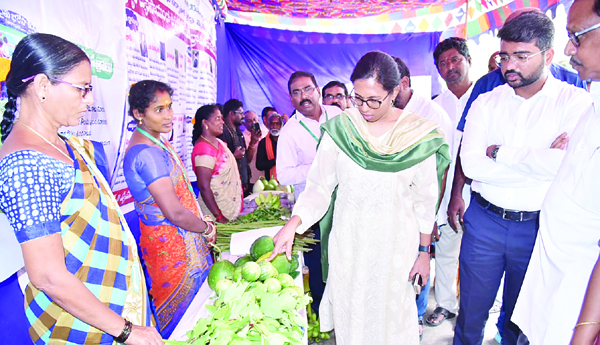 ప్రకృతి వ్యవసాయ పద్ధతిలో పండించిన కూరగాయలను పరిశీలిస్తున్న కలెక్టర్‌, జెసి